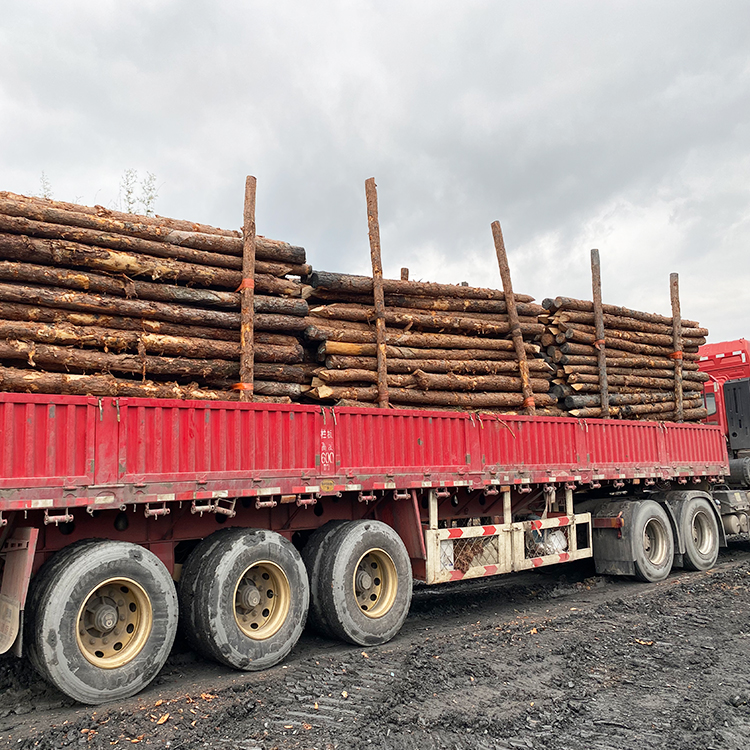 河道木樁報(bào)價(jià):河道(6米)松木木樁多少錢一米,原木樁多少錢？