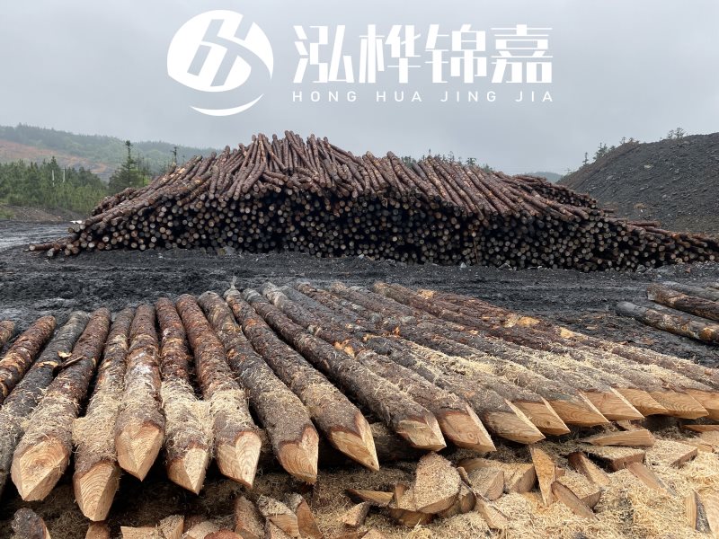 6米長松木樁有哪些作用，多少錢一根？
