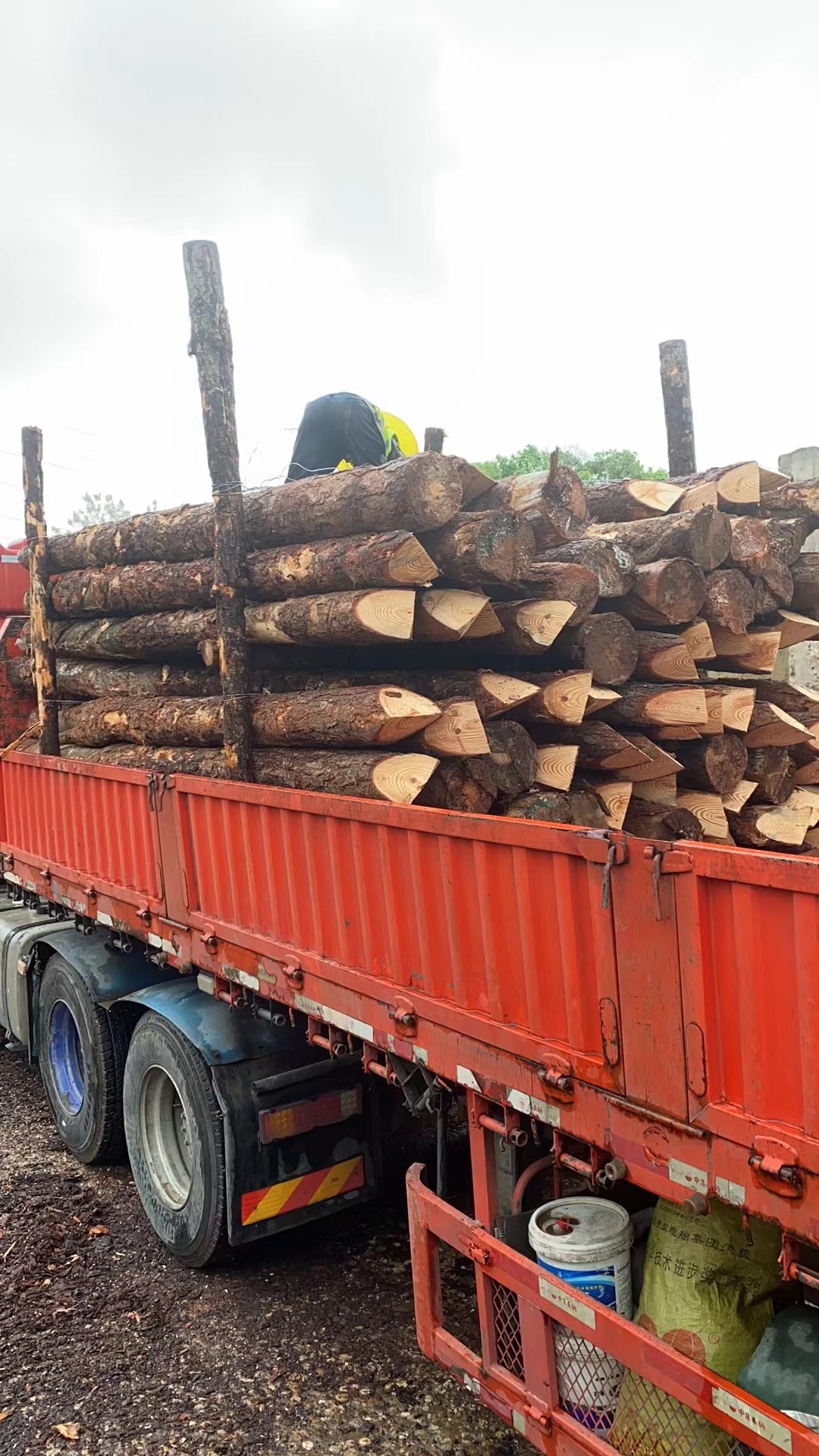 松木樁新手必備！快速掌握規(guī)范和要求