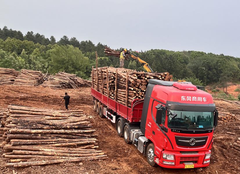 落葉松可以做防腐木嗎，如何制作落葉松防腐木