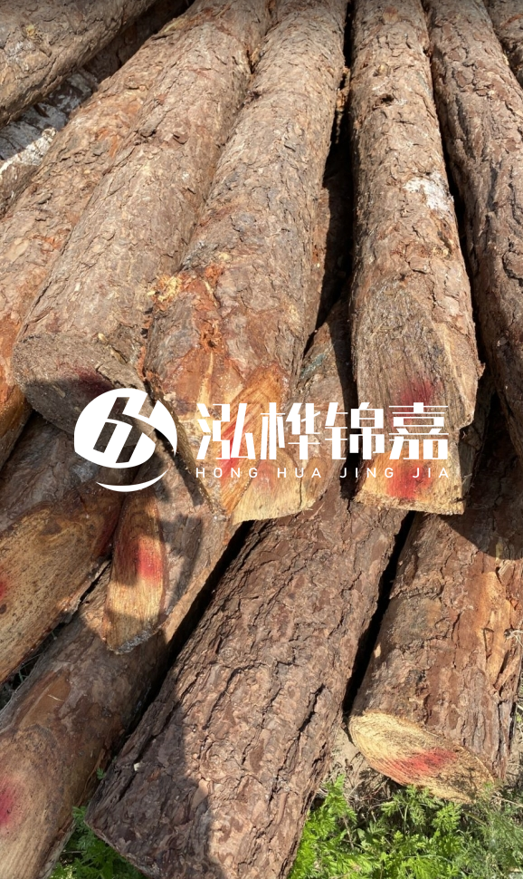 <strong>松木樁和杉木樁的用途區(qū)別？哪個(gè)更適合打樁用？</strong>