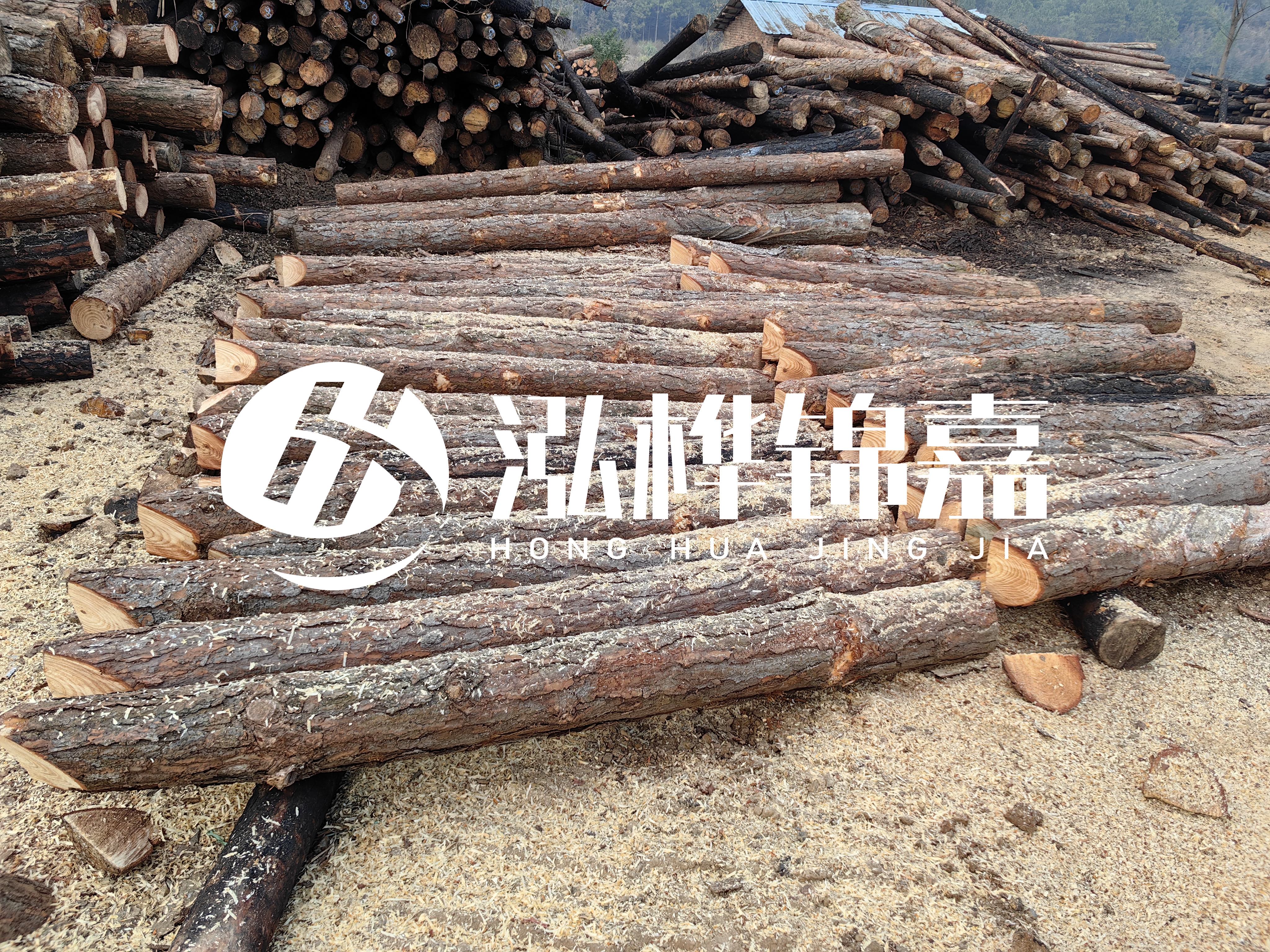 河道打樁木重復(fù)利用嗎？