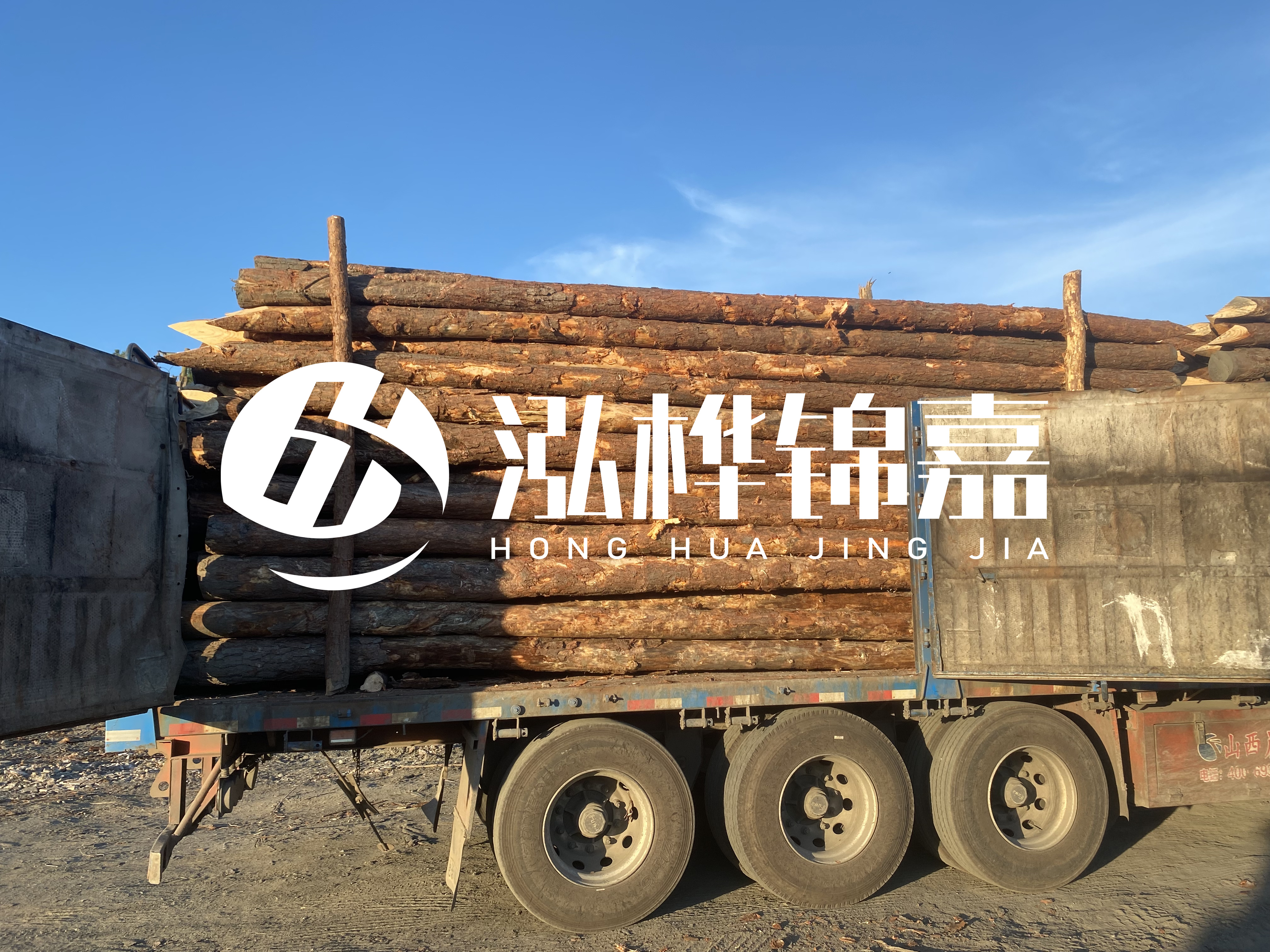 河道治理為什么要用松木樁？