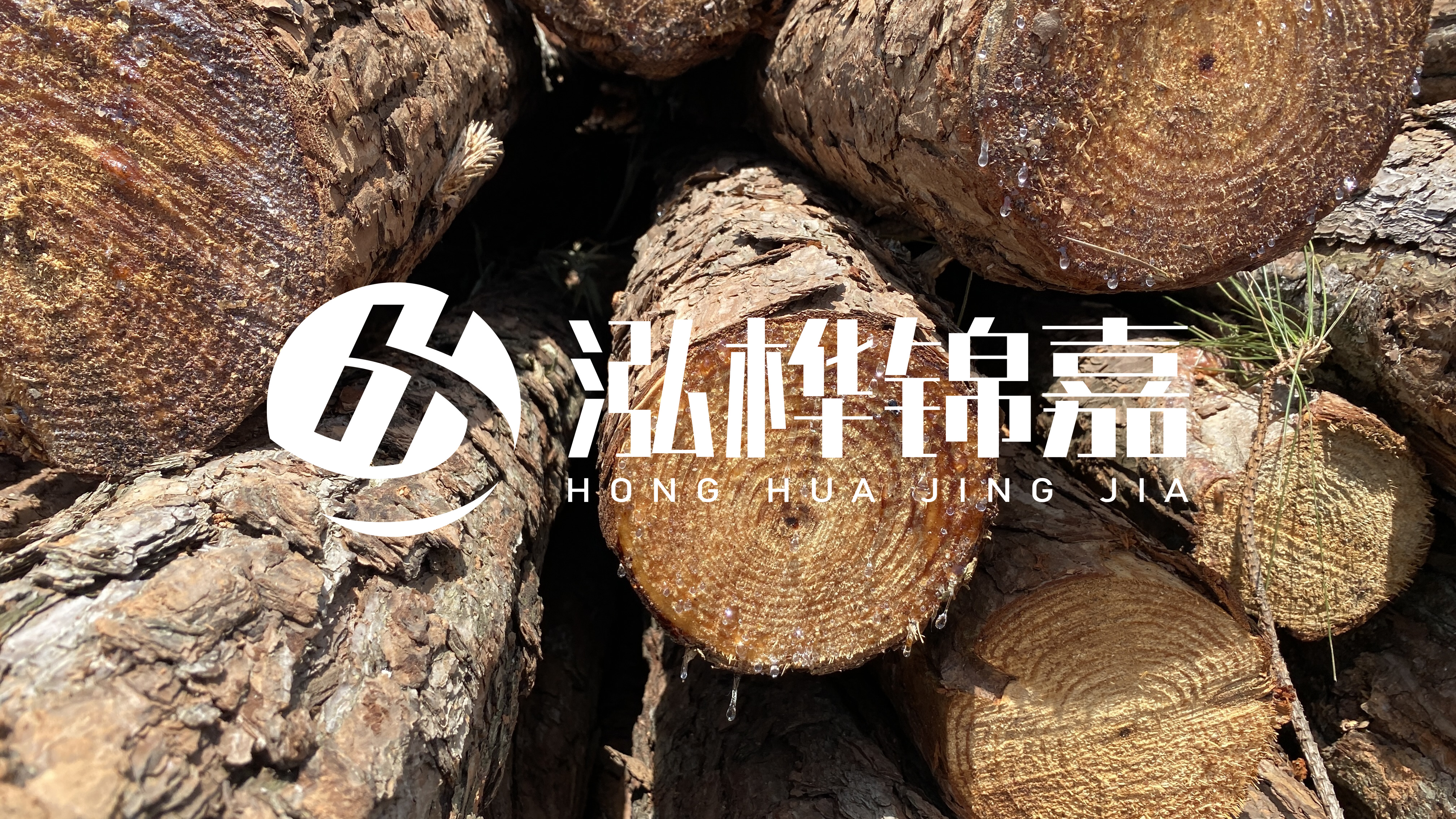 為什么要用松木樁治理河道？