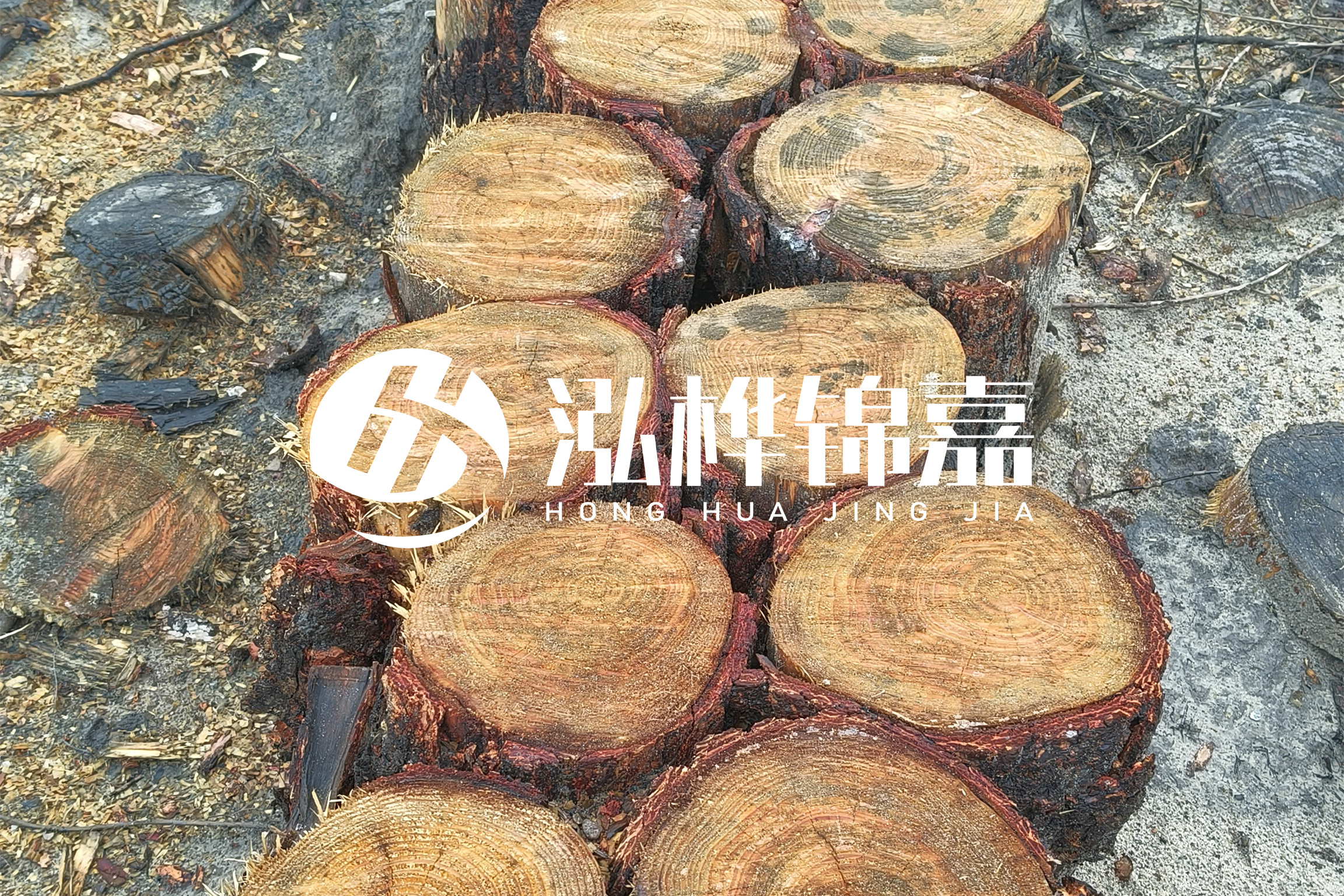 浙江臺(tái)州有清淤的公司嗎？浙江臺(tái)州有清淤施工隊(duì)嗎？