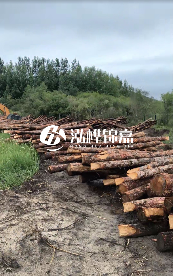 甘肅河道清淤工程公司-為什么要進行河道清淤？