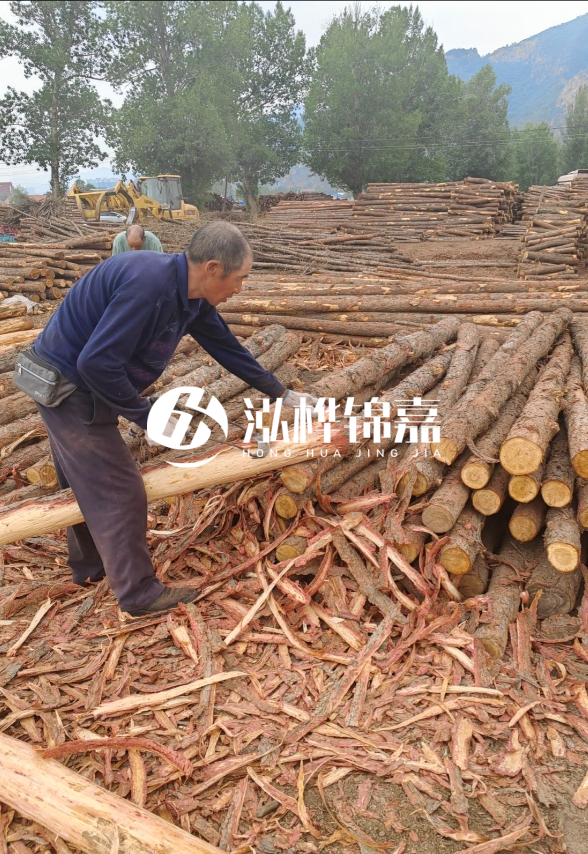 東營(yíng)河道清淤專(zhuān)業(yè)施工隊(duì)-不同型號(hào)挖機(jī)清淤能力對(duì)比？