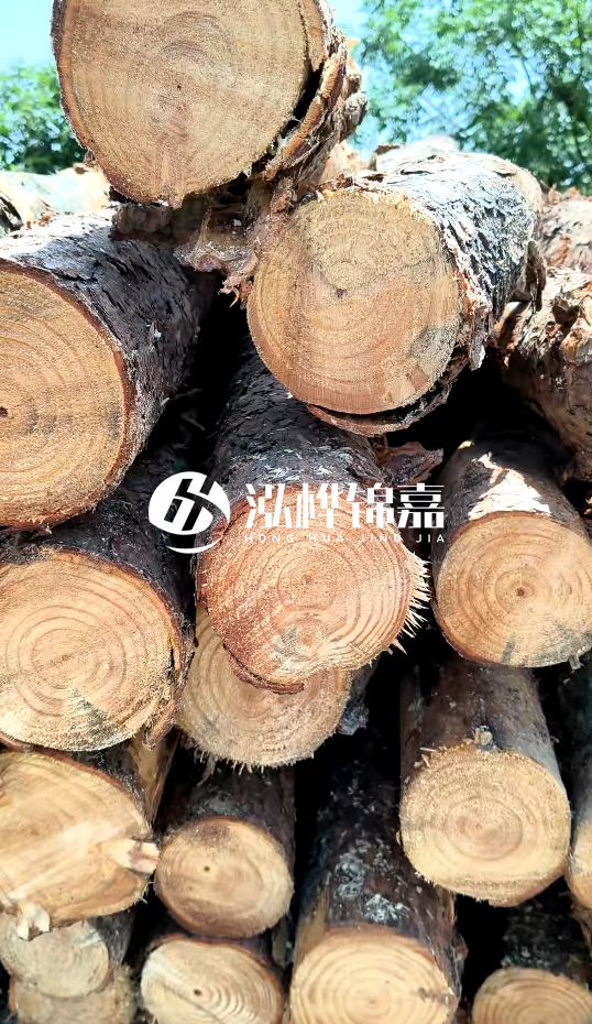 周口挖機(jī)打木樁專業(yè)施工-杉木樁施工打樁怎么打？