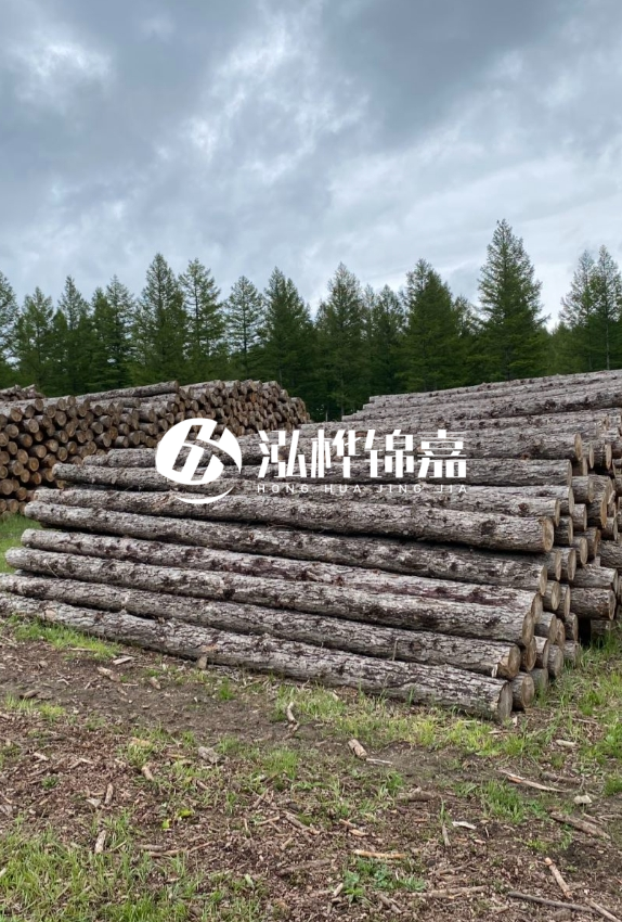 長沙松木樁源頭廠家-如何甄別松木樁打樁木的質(zhì)量好壞？