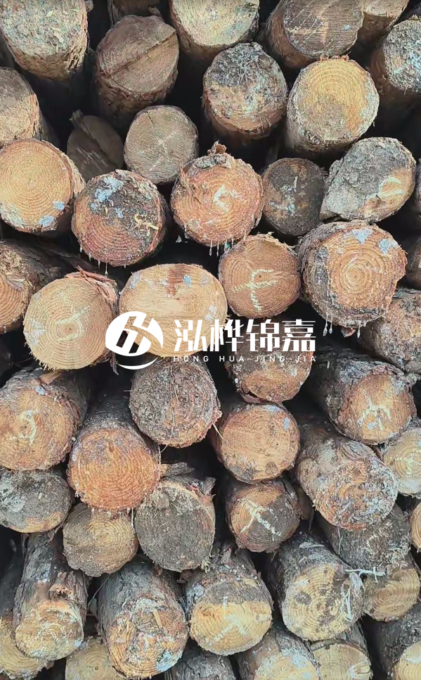 邵陽松木樁源頭廠家-松木樁護岸適合哪些地理環(huán)境？