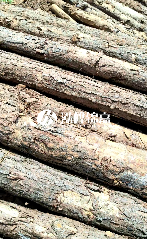 佛山松木樁源頭廠家-松木樁和杉木樁在河道治理中哪個更耐用？