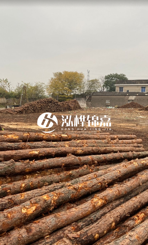 欽州松木樁源頭廠家-松木樁河道治理相比其他材料有何優(yōu)勢(shì)？