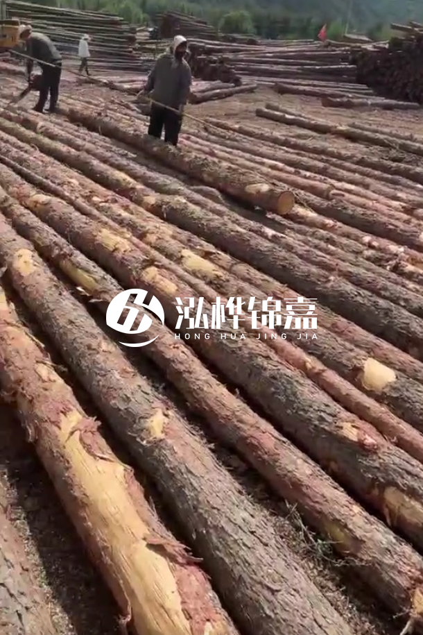 ?？谒赡緲对搭^廠家-松木樁最長(zhǎng)可以做多少米？