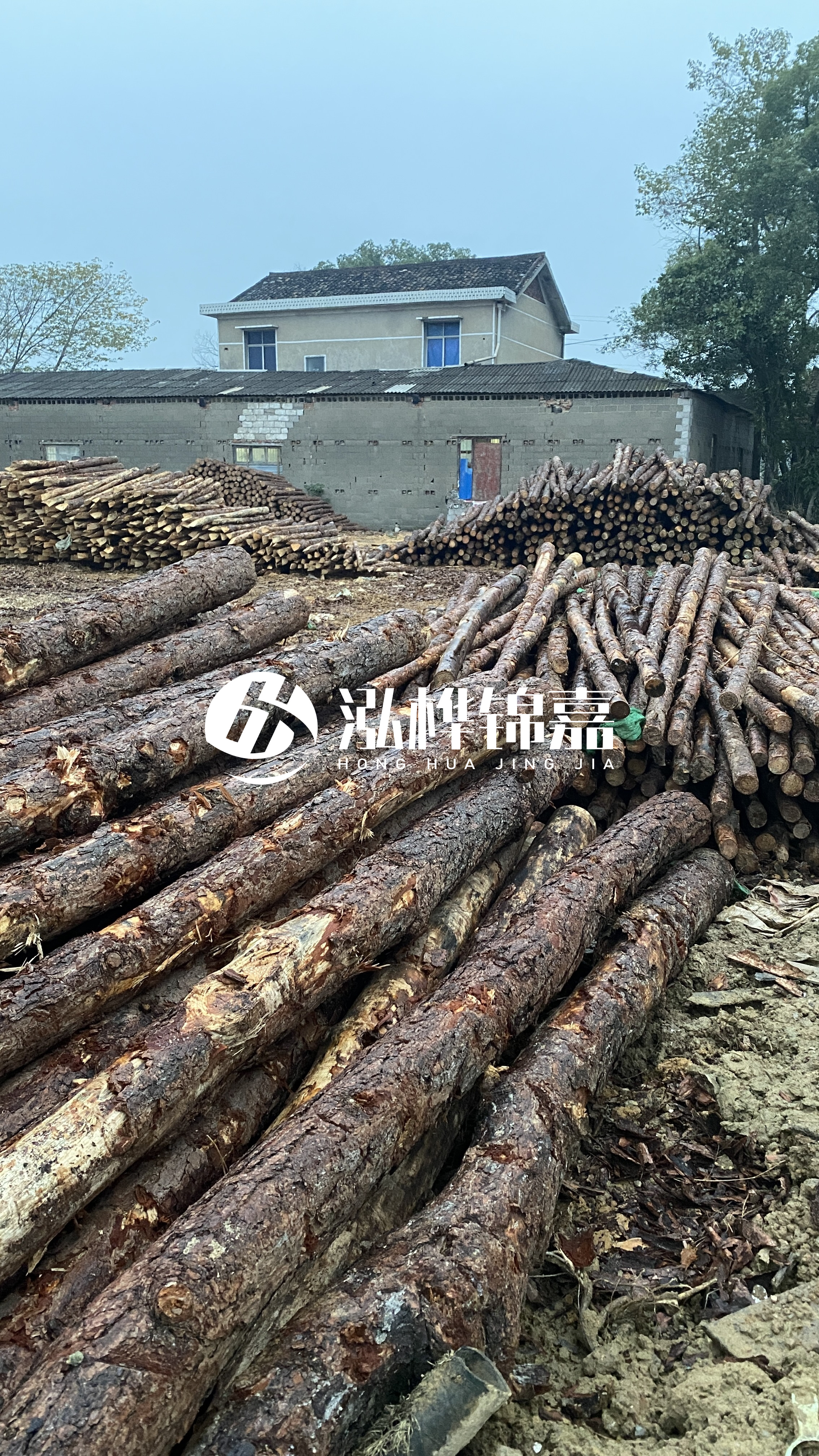 資陽松木樁源頭廠家-工地松木樁的采購渠道有哪些？