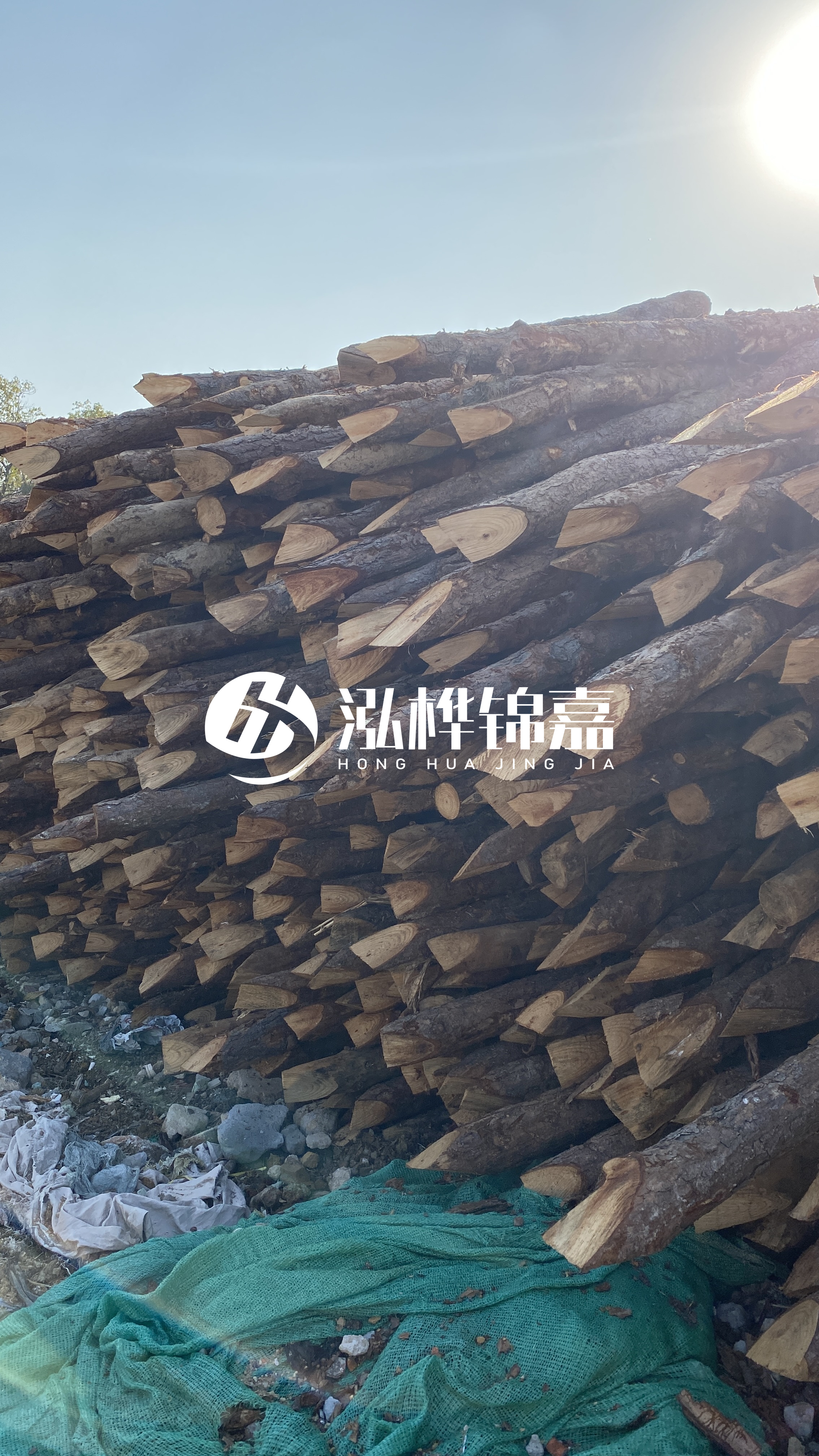 巴中松木樁源頭廠家-原木打樁木是否適合所有地質(zhì)條件？