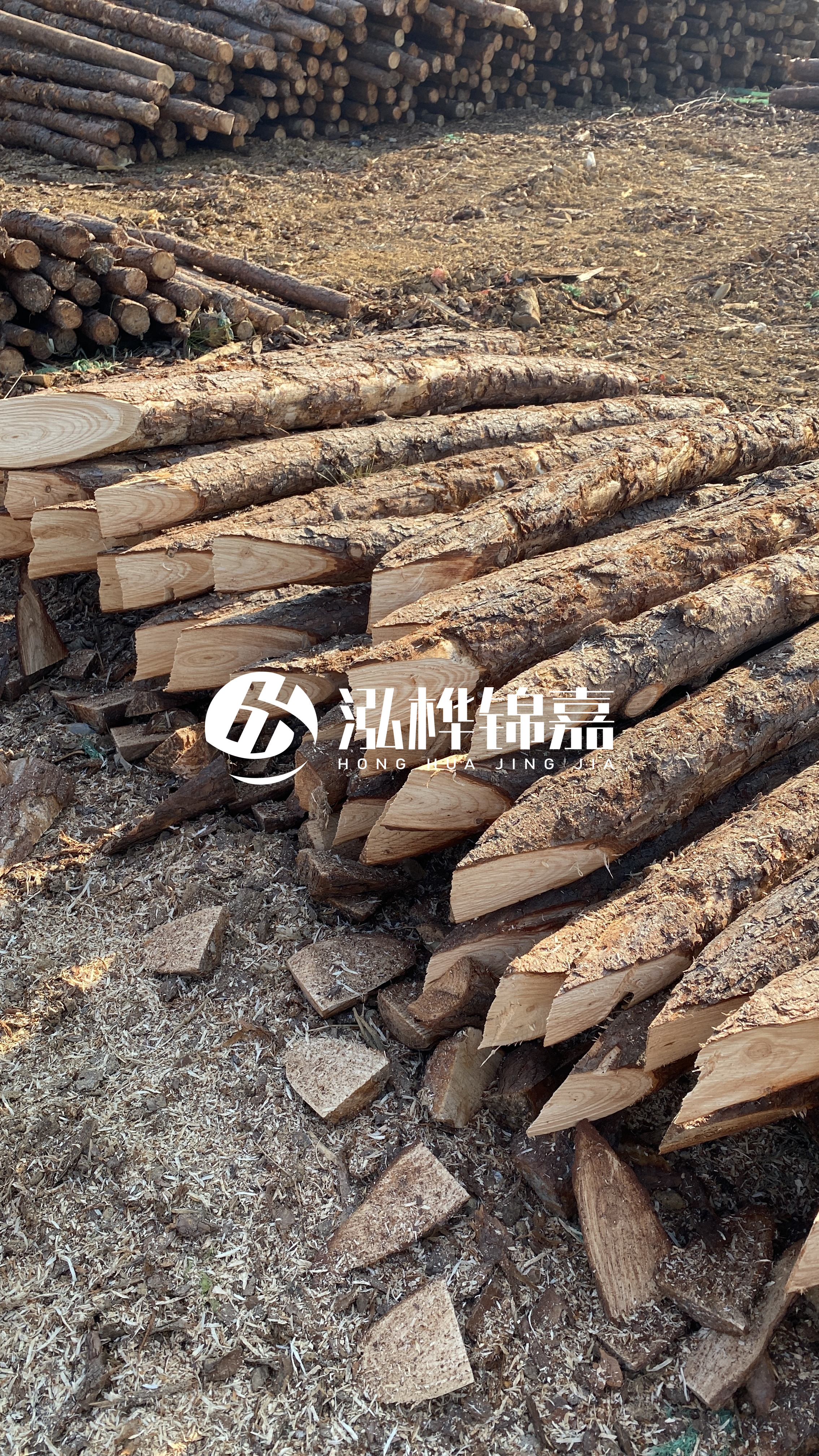 普洱松木樁源頭廠家-油松打樁木的抗壓強度是多少？