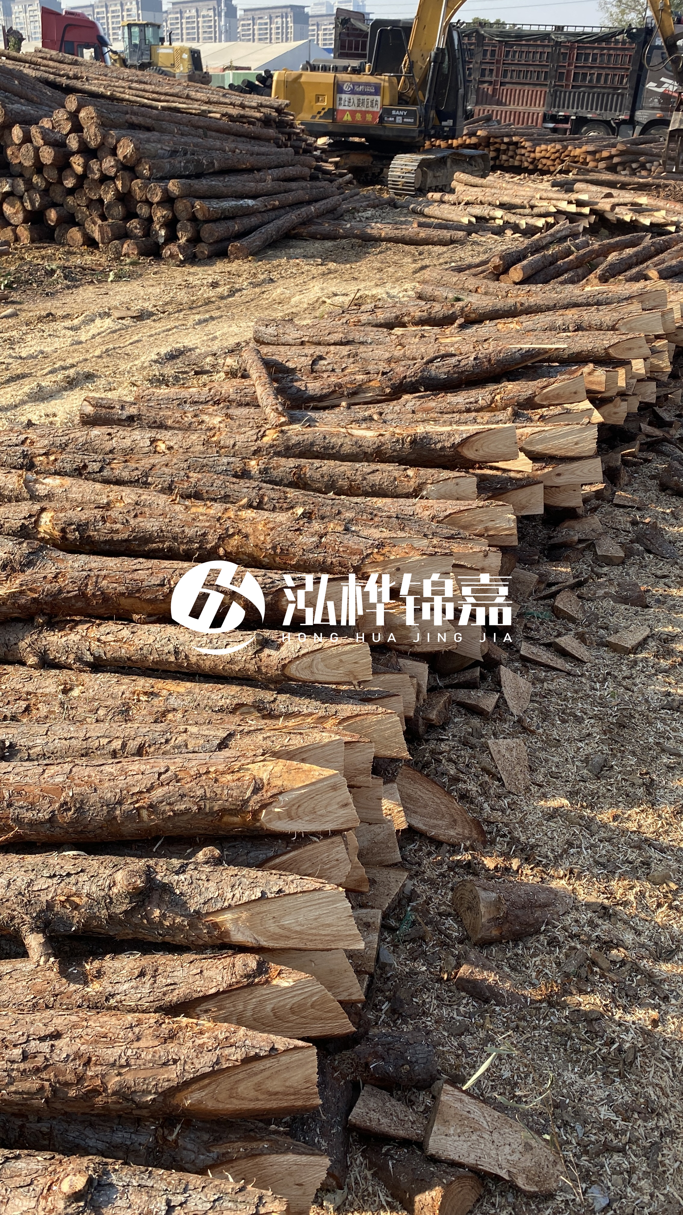 延安松木樁批發(fā)源頭廠家-杉木樁直徑按大頭算嗎？