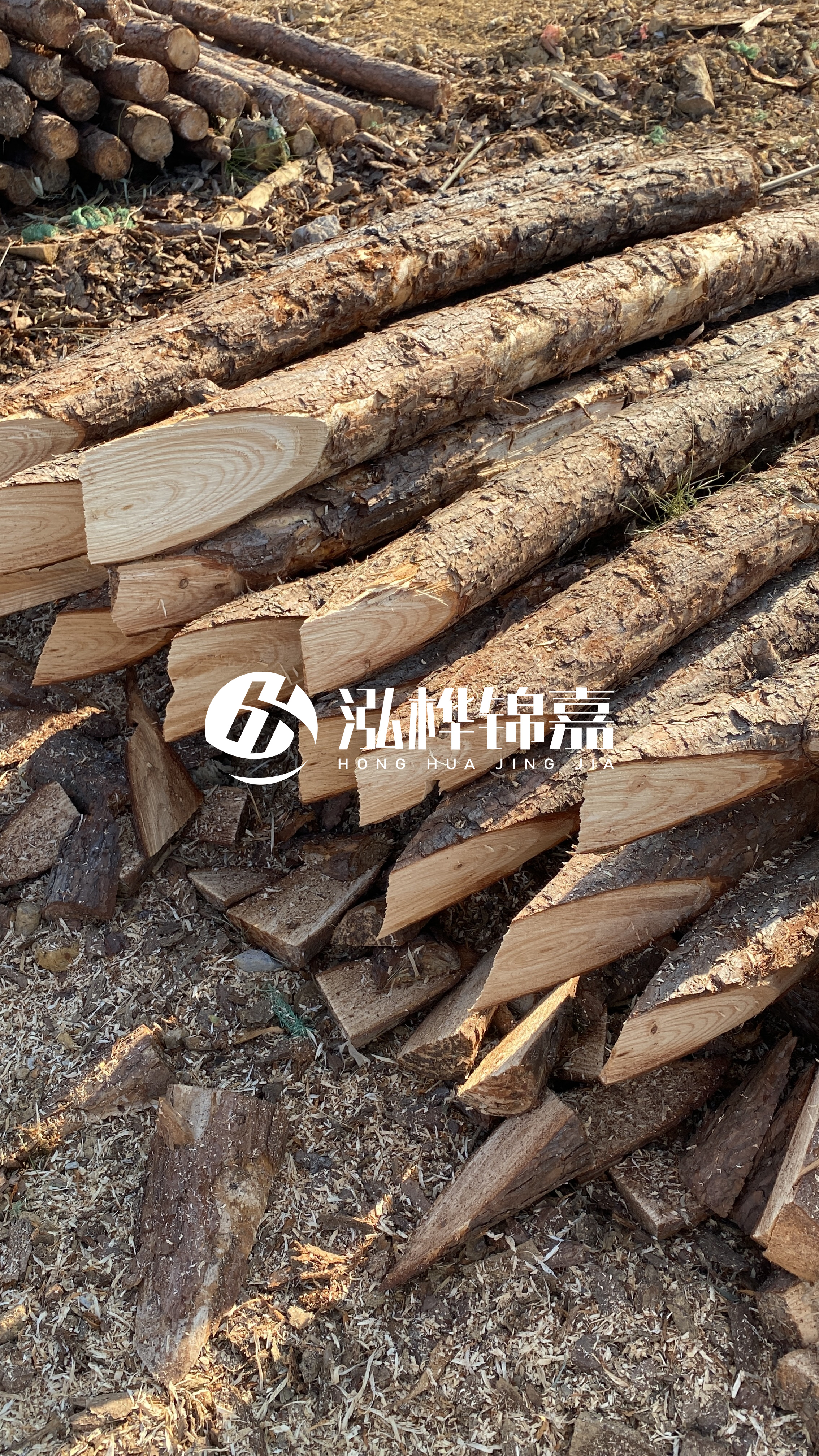 渭南松木樁批發(fā)源頭廠家-杉木樁4米小頭12公分大頭是多少？