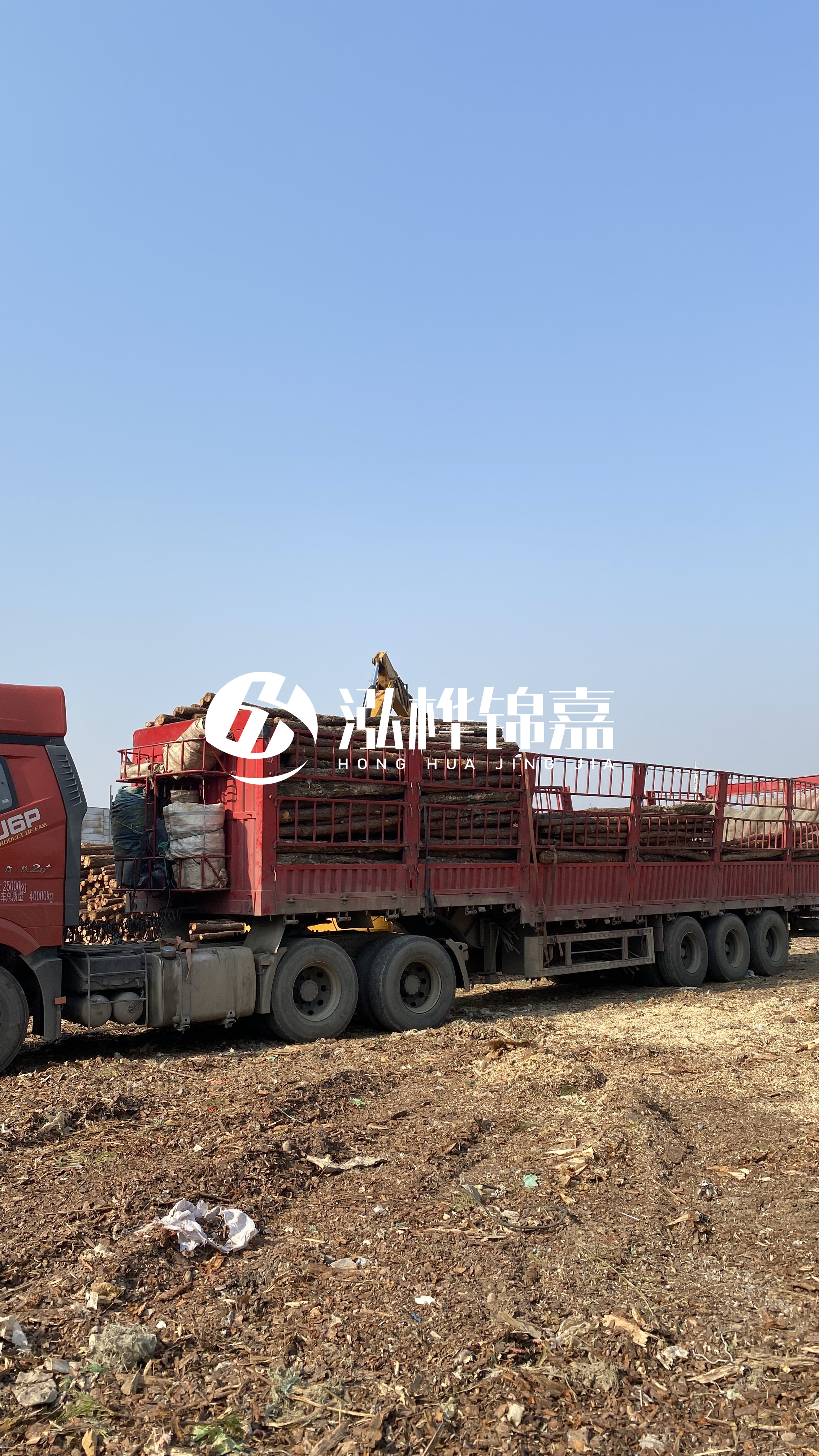 蘭州松木樁批發(fā)源頭廠家-落葉松與濕地松的主要區(qū)別？