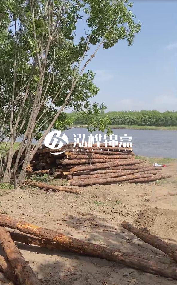 慶陽挖機(jī)打木樁專業(yè)施工-松木打樁過程中如何避免木材開裂？