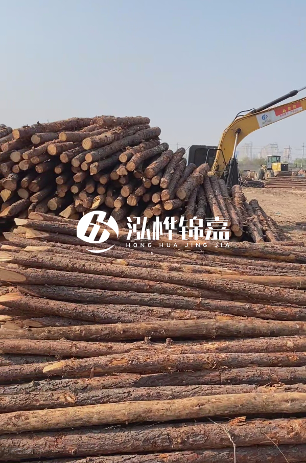 油松用于打樁木到底好不好？讓專業(yè)打樁隊告訴你！