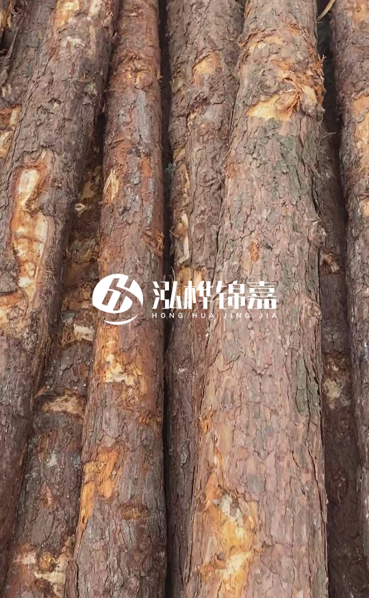 浙江地區(qū)大量供應(yīng)松木樁，源頭廠家在哪里？