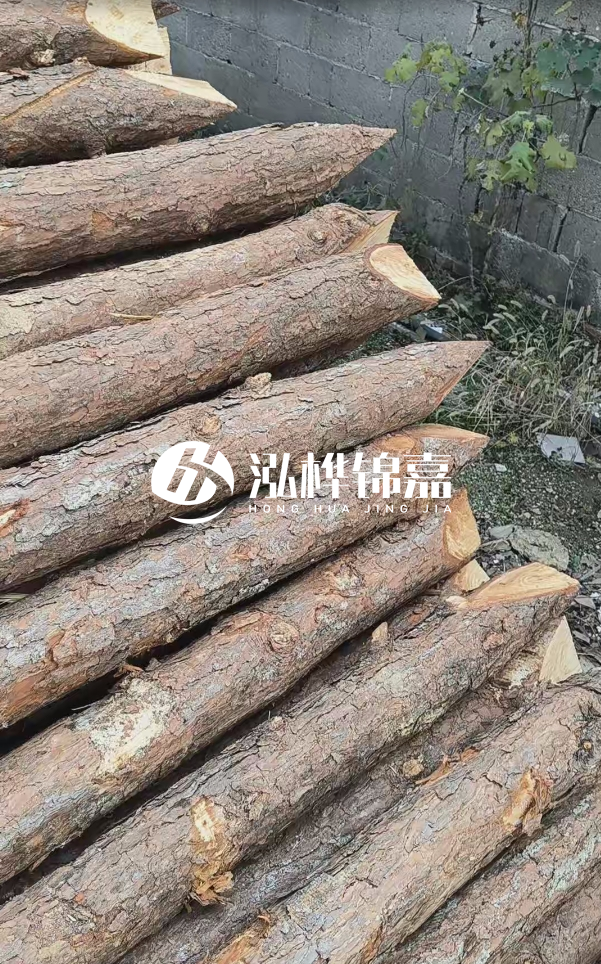 松木樁哪里能大量供應(yīng)？4米20公分松木樁價格是多少？