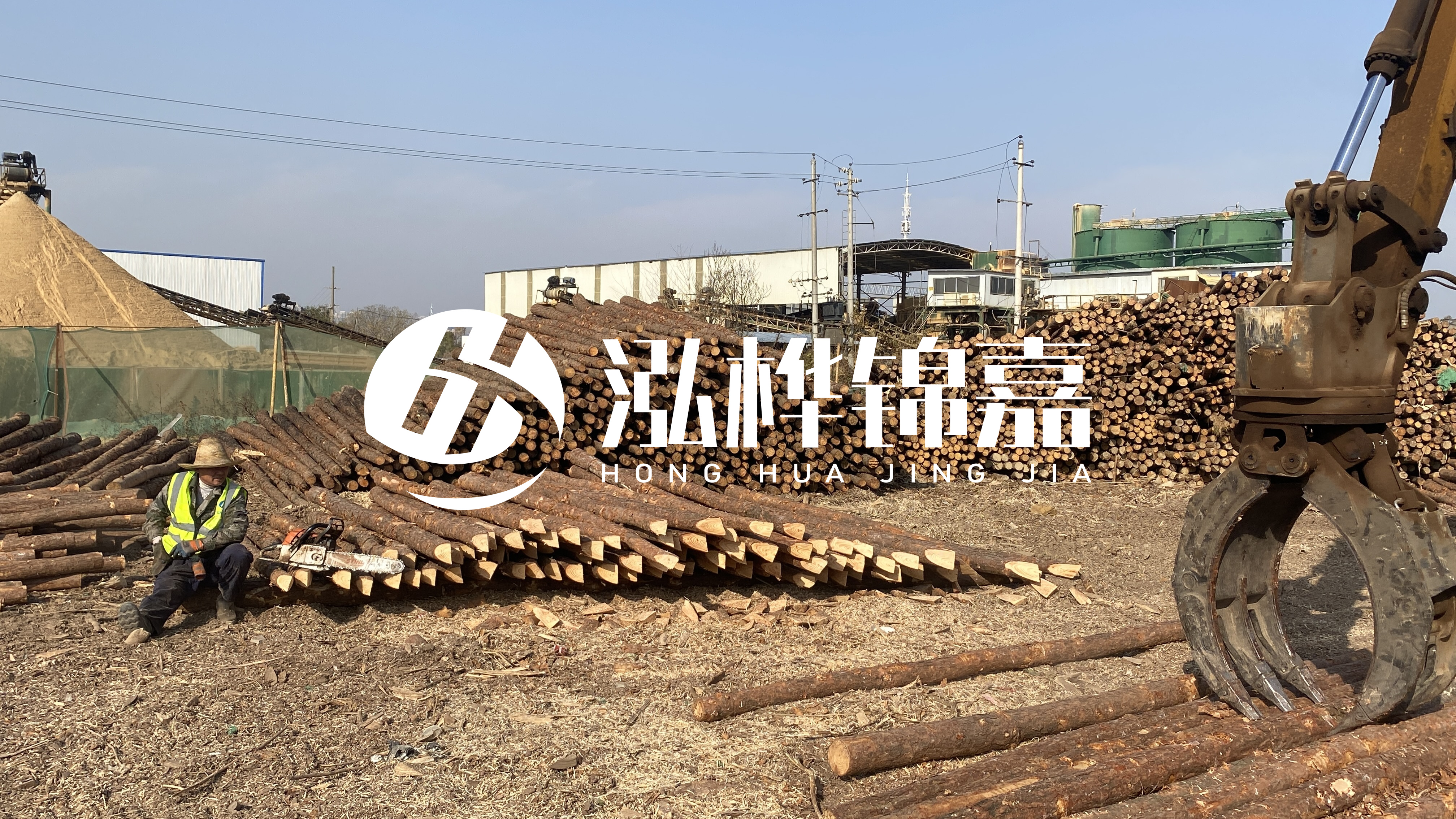 河道木材松木樁怎么選？松木樁源頭廠家告訴你！