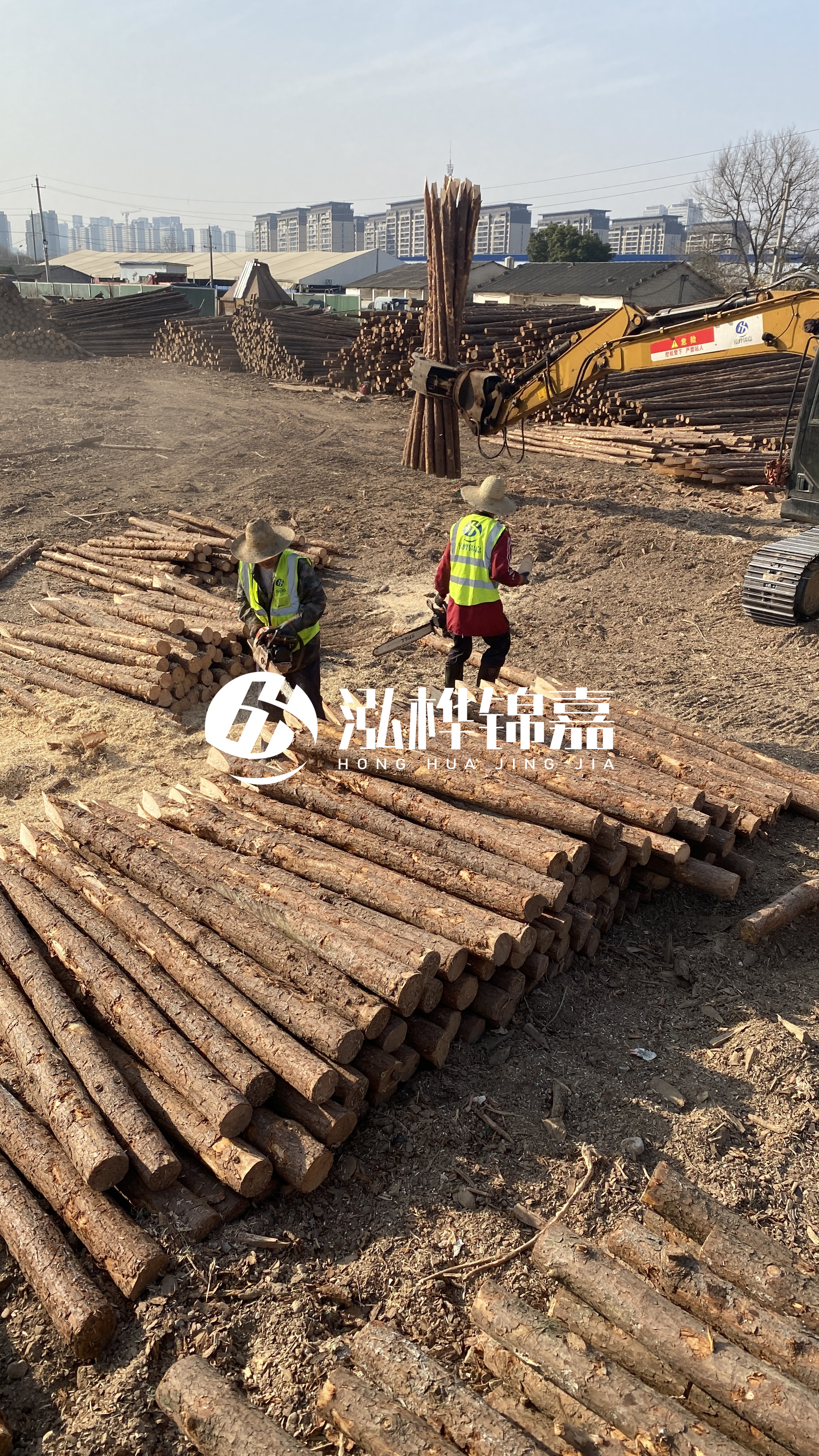 松木樁梢徑怎么測量？實(shí)用教程！一文教會你！