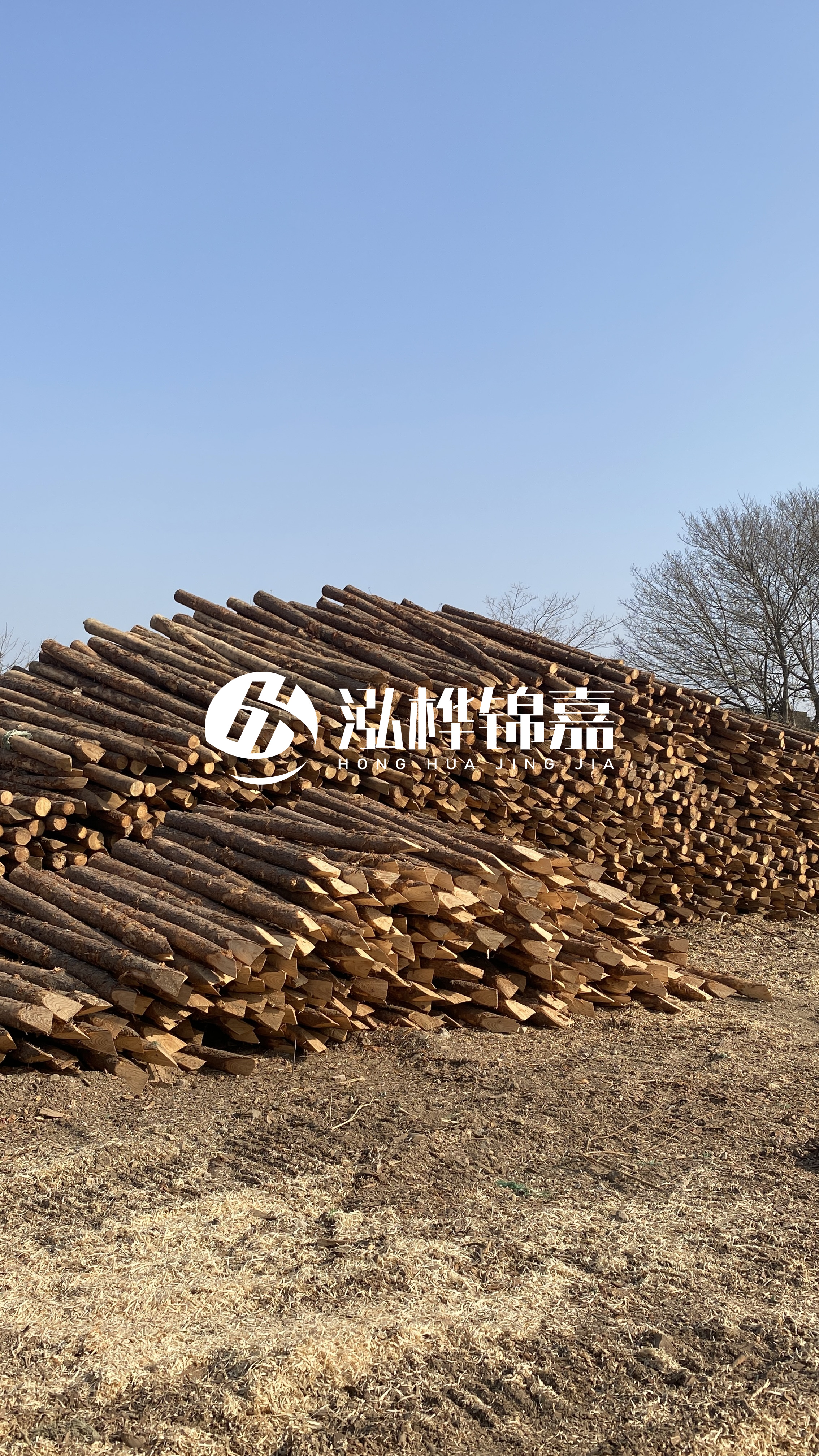 松木樁頭徑比尾徑大多少？計(jì)算方式是什么？