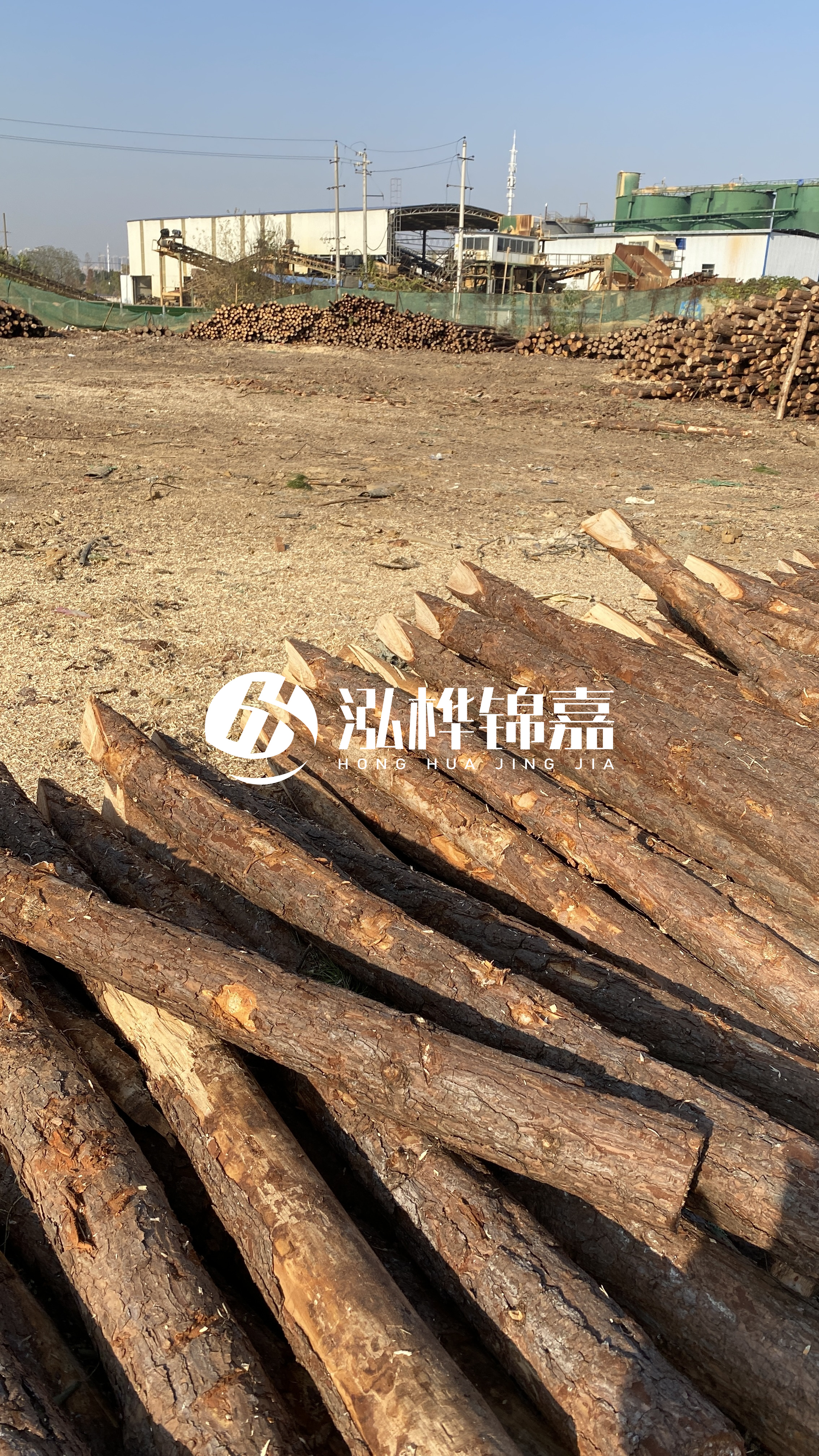 松木樁施工要找有資質(zhì)的嗎？松木樁施工背后門道多，看完就懂了！