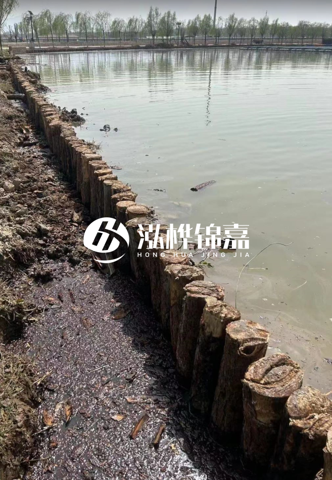 松木樁為什么要一根一根挨著打？秘密在這里！看完恍然大悟！