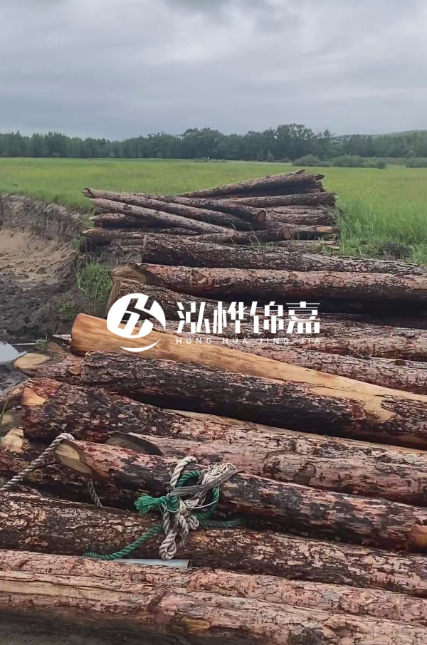 打樁木樁的選購標準是什么？材質(zhì)、尺寸與強度，哪些標準不能忽視？