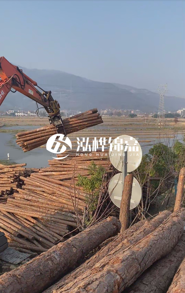 松木樁是否需要削皮呢？松木樁為什么不會爛掉呢？