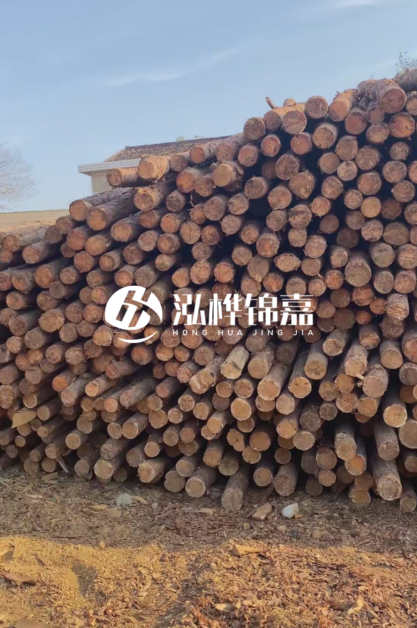 4米8-10公分松木樁大概多少錢一根？15公分價格又是多少？