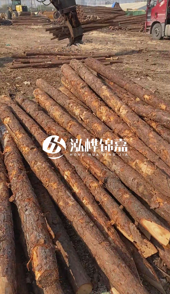 4.5米松木樁直徑14一根多少錢？5米14厘米多少錢？