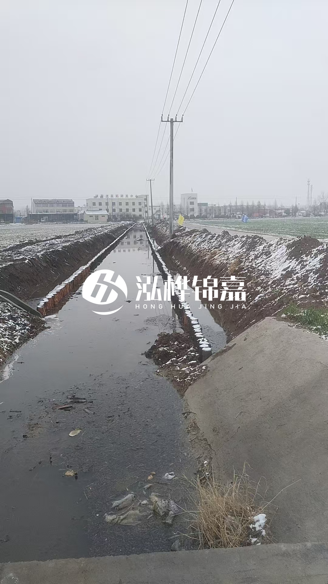 4米松木樁和杉木樁價格相差多少？哪個更便宜？