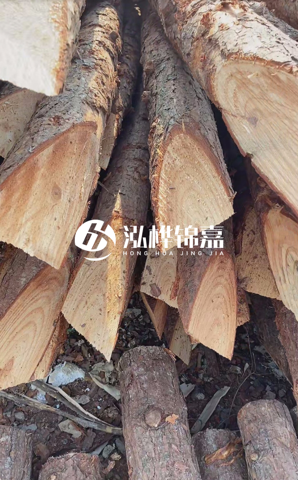 3米杉木樁梢頭12大頭多少？賣多少錢一根？