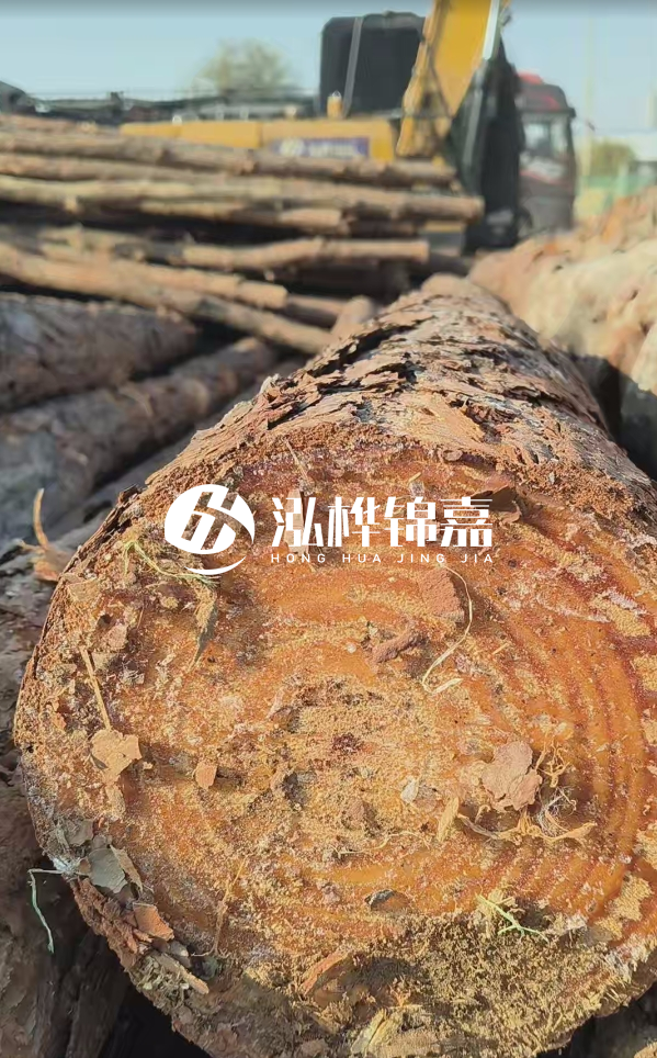 杉木樁價格多少錢一方-3米直徑14公分杉木樁價格？