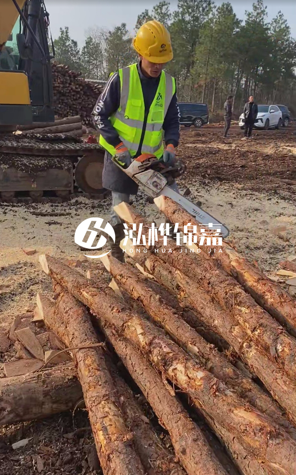 松木樁樁長(zhǎng)1.5米稍徑12多少錢(qián)一根？樁長(zhǎng)1.5米稍徑12大頭多少？