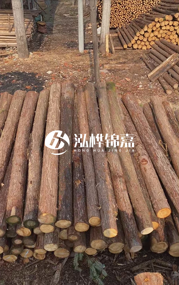 河道護坡選松木樁還是杉木樁？河道木樁一根多少錢？