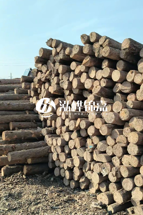 江西哪里有松木樁賣-4米12-14公分松木樁價格揭秘！