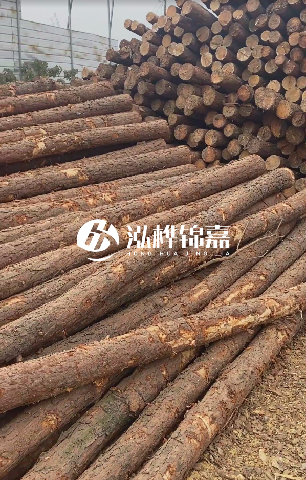 山西河道木樁護岸價格多少錢一米-每米河道打樁要花多少錢？