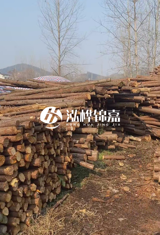 打杉木樁多少錢一根-一天能打多少根？