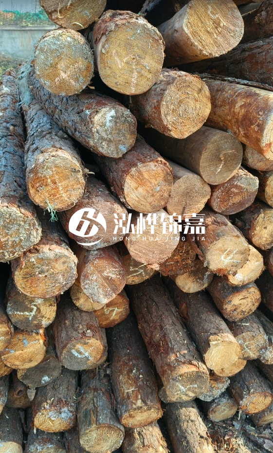 油松3米12公分多少錢(qián)一根？油松4米12公分多少錢(qián)一根？