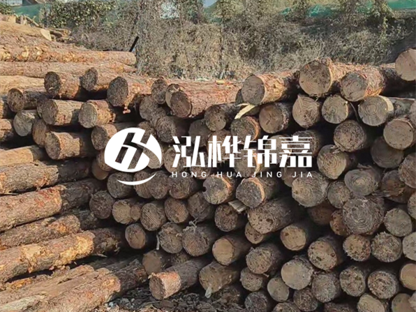 落葉松木材的主要產(chǎn)地在哪里？為什么比其他松木更耐腐蝕？