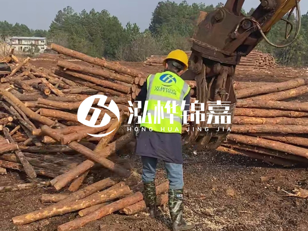 安徽松木樁選哪家-5米小頭10-12公分松木樁多少錢？