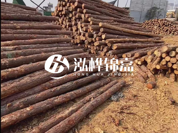 河道木樁施工遇到淤泥怎么辦？打多深才能防沖刷？