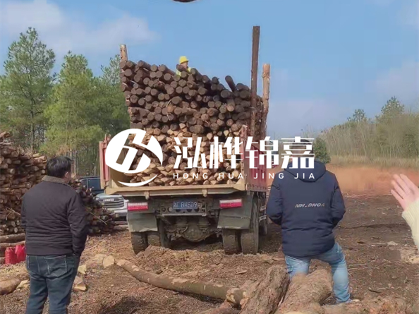 松木樁價格是按米算還是按根算？6米松木樁批發(fā)價每根多少錢？