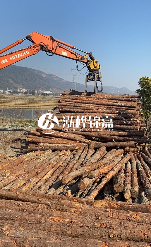 帶皮松木樁的防腐效果如何？和不帶皮松木樁價格差異有多大？